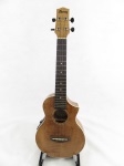 IBANEZ UEW15E Concert Ukulele