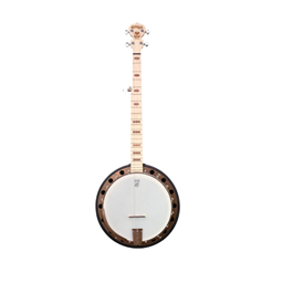 Deering Banjo DG2 Goodtime Deco 5 String Banjo w/ Resonator