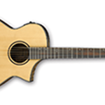 IBANEZ AEWC24MB AEW Acoustic Electric Guitar