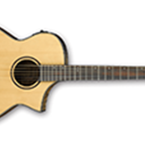 IBANEZ AEWC24MB AEW Acoustic Electric Guitar